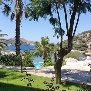 book here